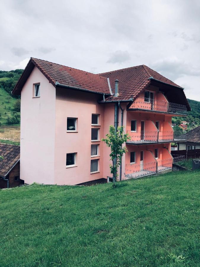 Hotel Poenita Sighisoara Exterior photo