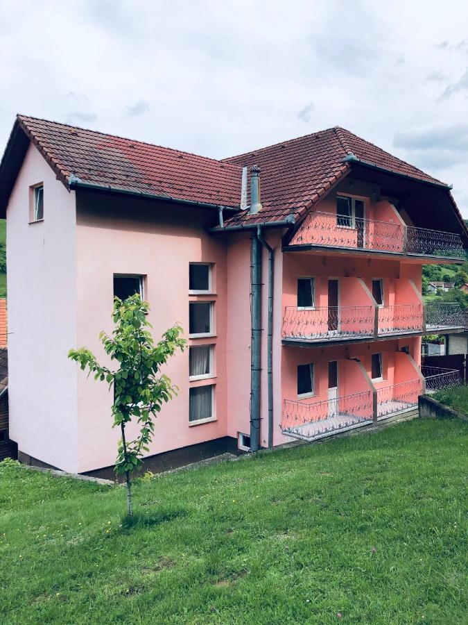 Hotel Poenita Sighisoara Exterior photo