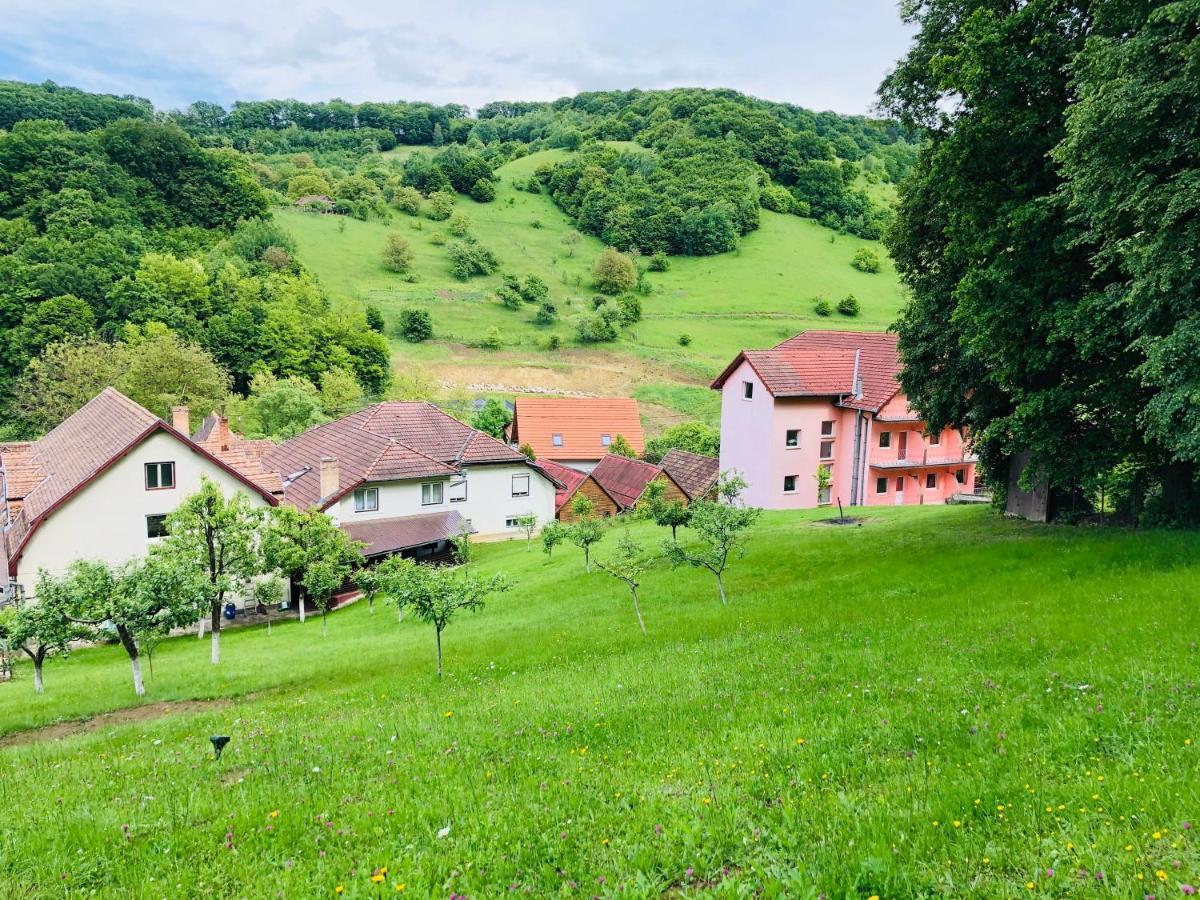 Hotel Poenita Sighisoara Exterior photo